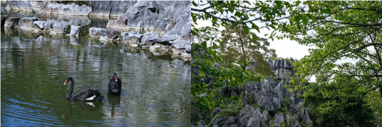 1605063641547257.png image.png