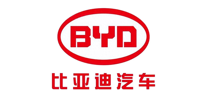 新能源汽车 比亚迪WMS项目